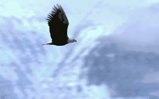 上市公司动态 中国平安上半年归母净利降88%寒武纪实现扭亏中国石油上半年净利降54%